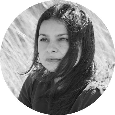 Hope Sandoval & The Warm Inventions