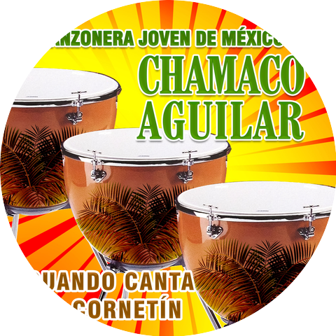 La Danzonera Joven De México Del "Chamaco Aguilar"