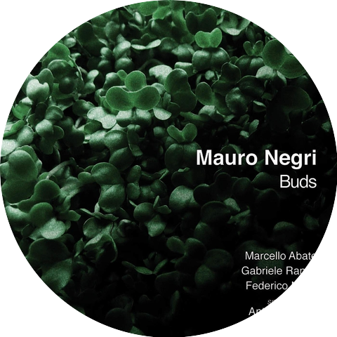 Mauro Negri