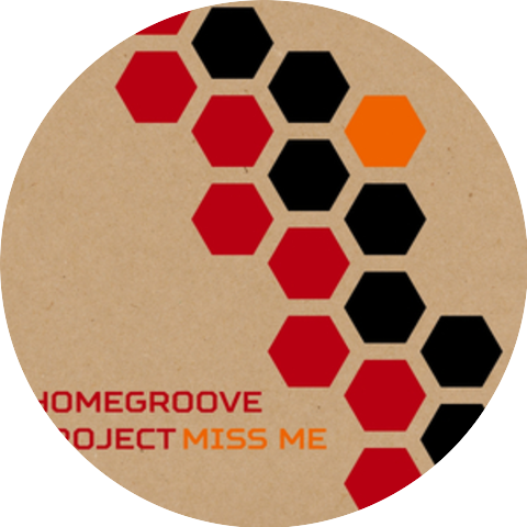 Homegroove Project