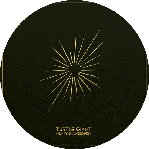 Turtle Giant