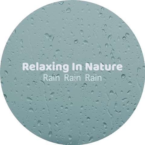 Relaxing Zen Nature