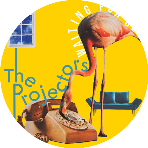 The Projectors
