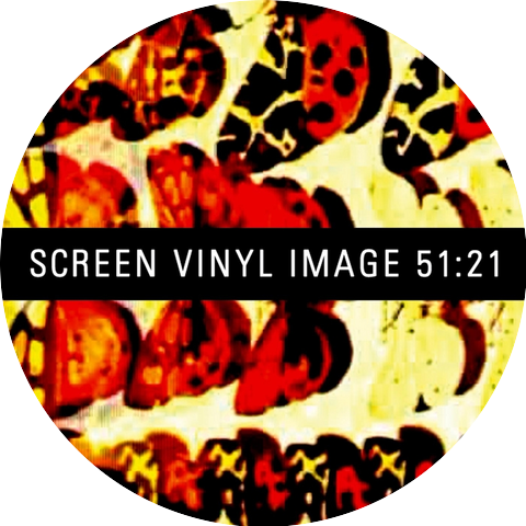 Screen Vinyl Image
