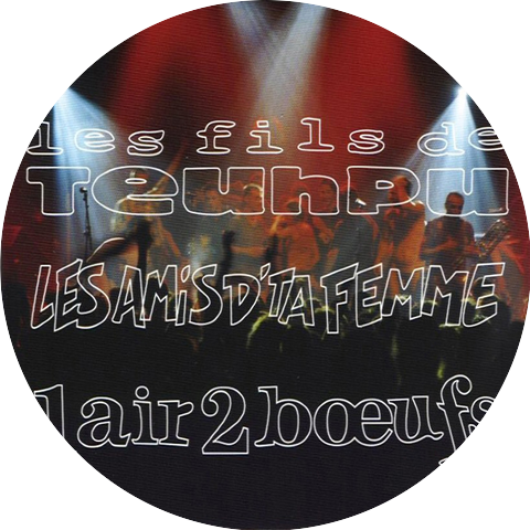 Les Fils de Teuhpu et les Amis d'ta femme