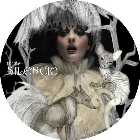 Miss Silencio