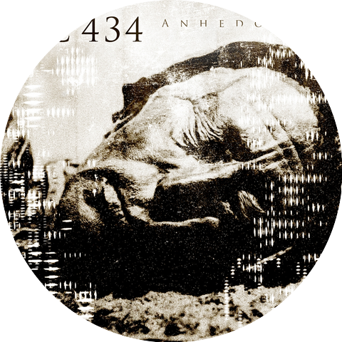IC 434