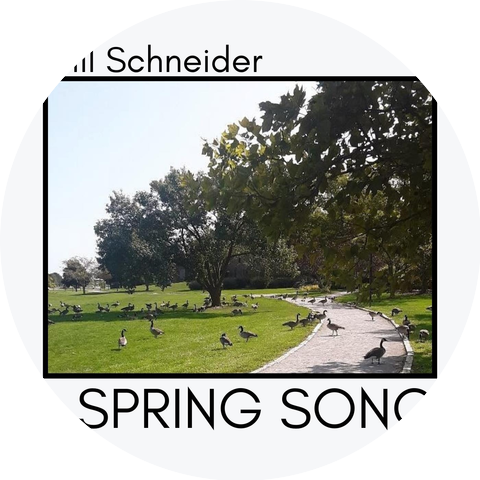 Willy Schneider