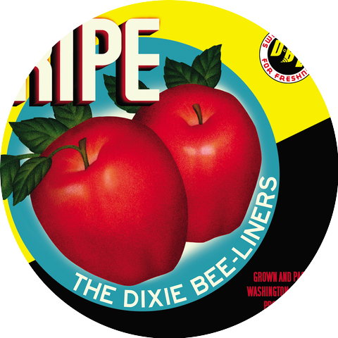 The Dixie Bee-Liners
