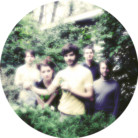 Those Transatlantics