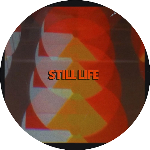 The Still Life