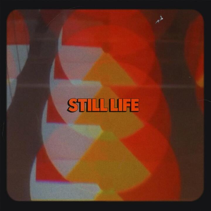 The Still Life