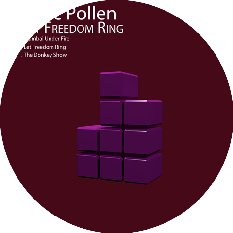 Marc Pollen