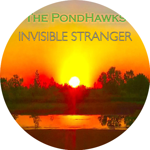The Pondhawks