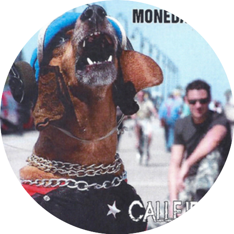 Moneda Dura
