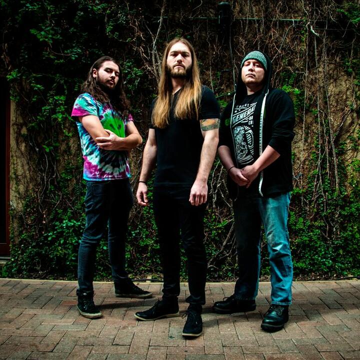 Rings of Saturn