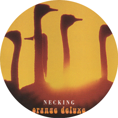 Orange Deluxe