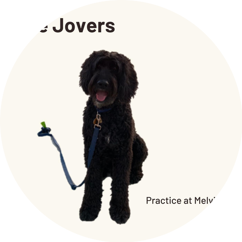 The Jovers