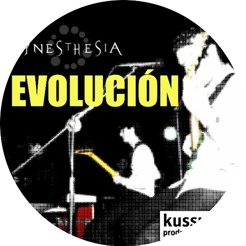 Synesthesia DR