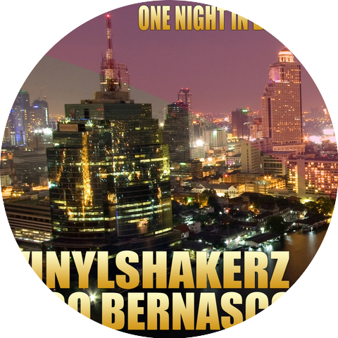 VINYLSHAKERZ + RICO BERNASCONI
