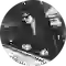 Roy Orbison (thumbnail)