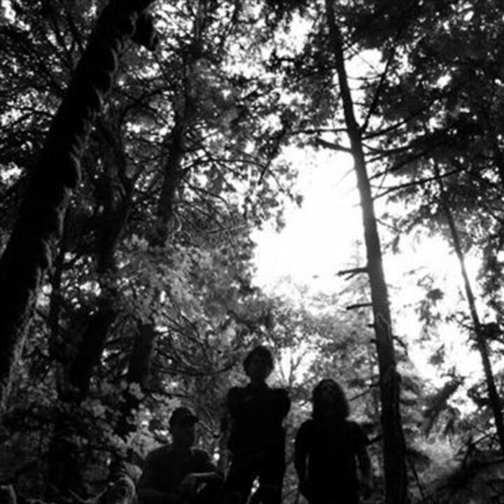 wolves in the throne room t shirt