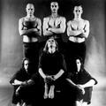 Swans