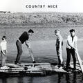 Country Mice