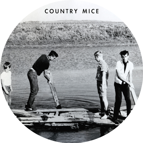 Country Mice