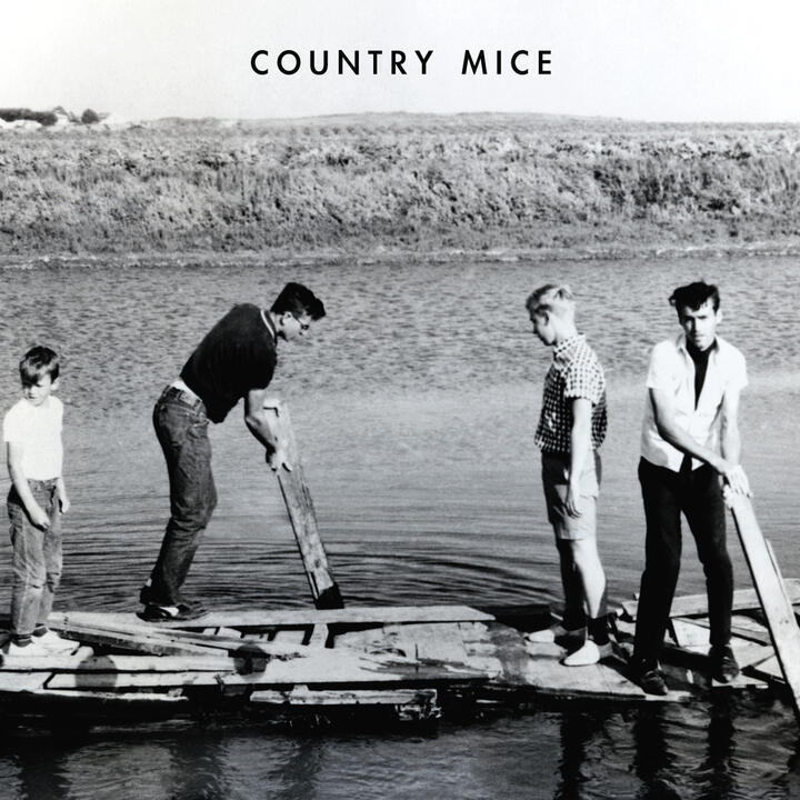Country Mice