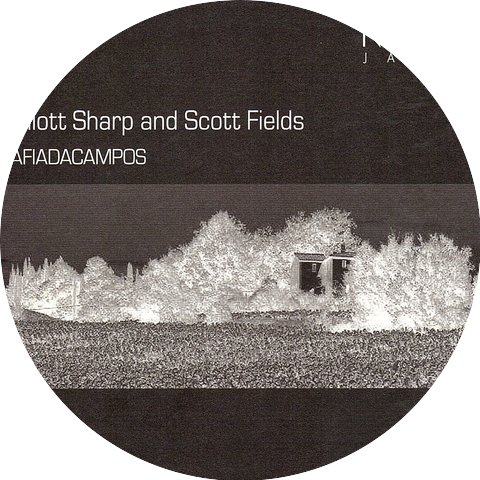 Scott Fields, Elliott Sharp