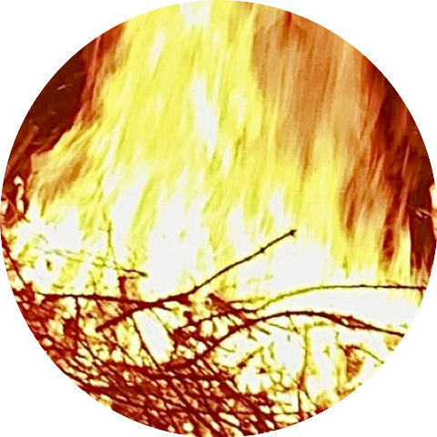 5150
