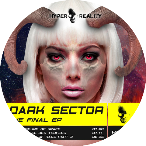 Dark Sector