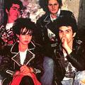 The Partisans