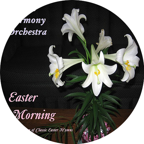 Digital Harmony Orchestra