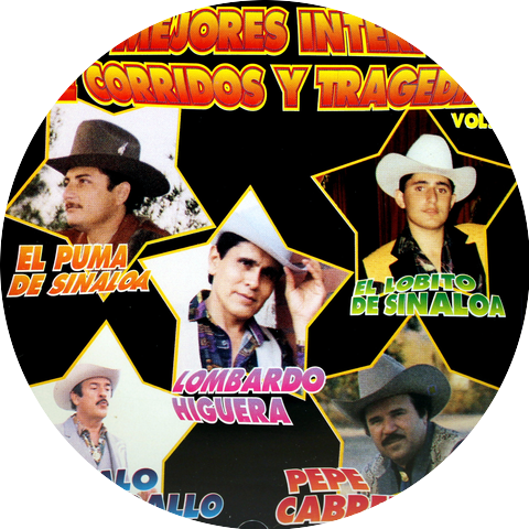 Los 5 Mejores Interpretes De Corridos Y Tragedias