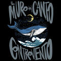 Il Muro Del Canto