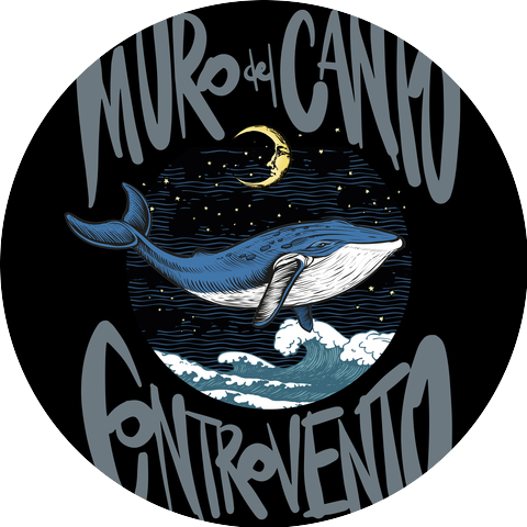 Il Muro Del Canto