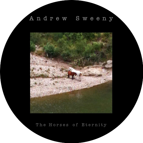 Andrew Sweeny
