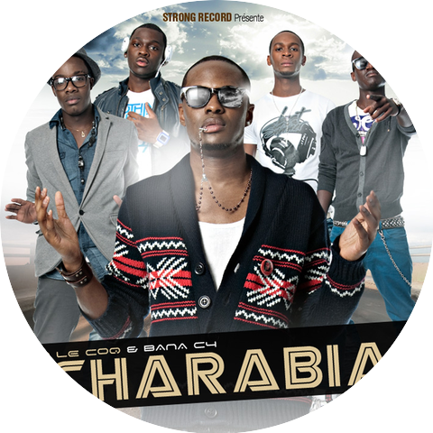 Bana C4, Hiro le Coq