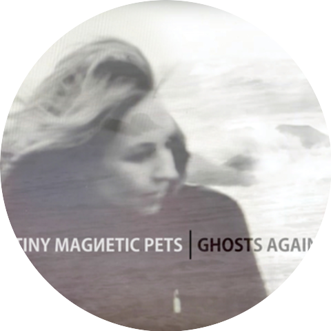Tiny Magnetic Pets