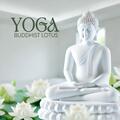 Yoga Tribe