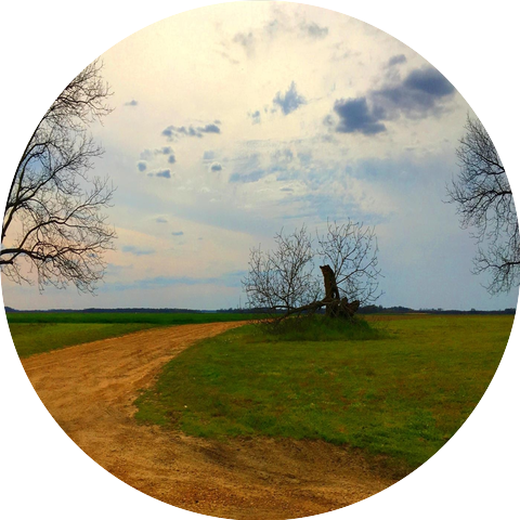 The Richard Petticoat Junction