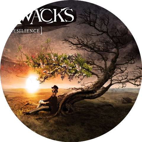 Awacks