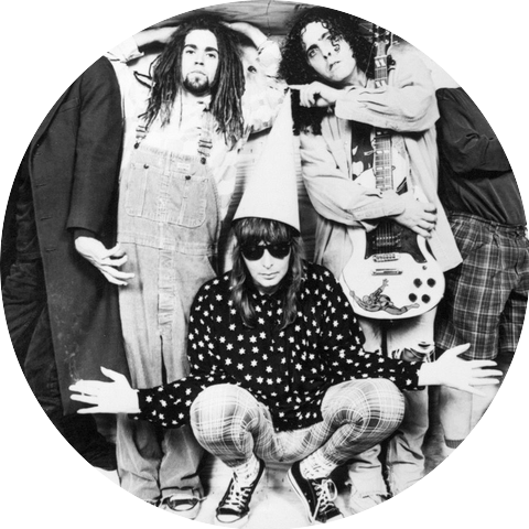 The Dickies