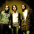 The Cribs