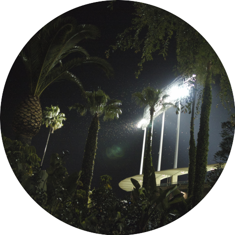 Secret Frequency Crew