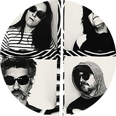The Magnetic Fields
