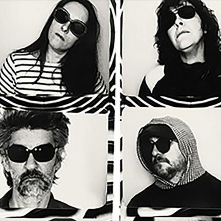 The Magnetic Fields
