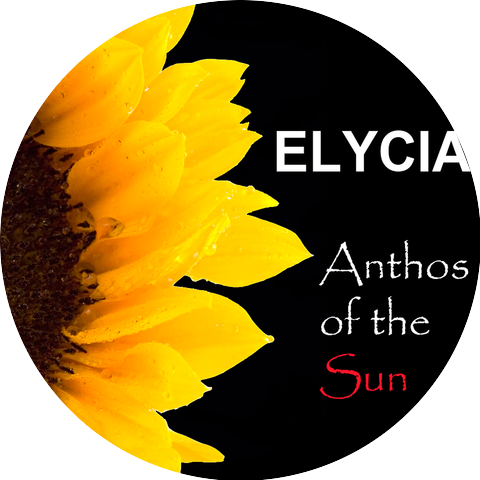 Elycia